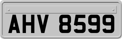 AHV8599