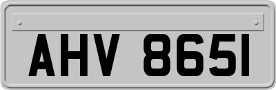AHV8651