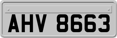 AHV8663