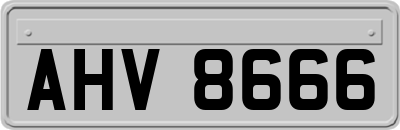 AHV8666