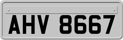 AHV8667