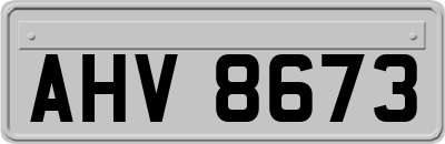 AHV8673