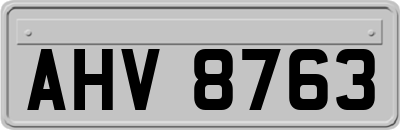 AHV8763
