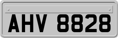 AHV8828