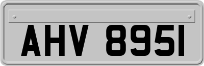 AHV8951
