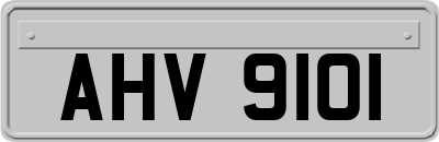 AHV9101
