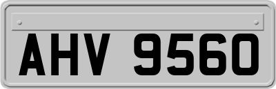 AHV9560