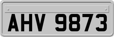 AHV9873