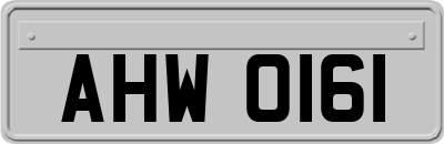 AHW0161