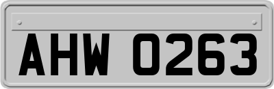 AHW0263