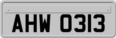 AHW0313