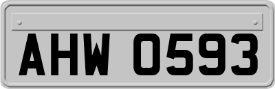 AHW0593