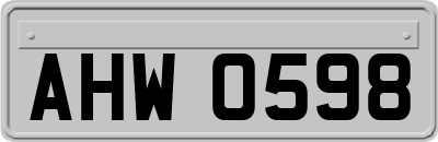 AHW0598