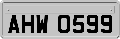 AHW0599