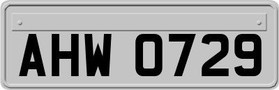 AHW0729