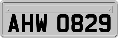 AHW0829
