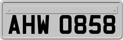 AHW0858