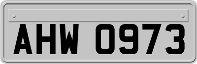 AHW0973