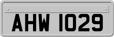 AHW1029