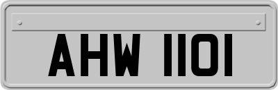AHW1101