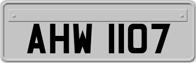 AHW1107