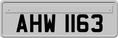 AHW1163
