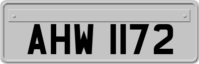 AHW1172