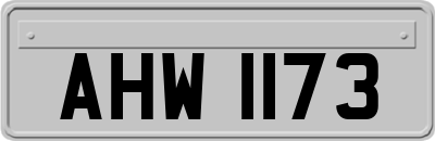 AHW1173