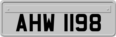 AHW1198
