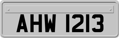 AHW1213