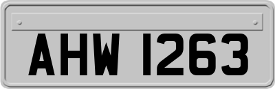 AHW1263