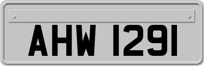 AHW1291