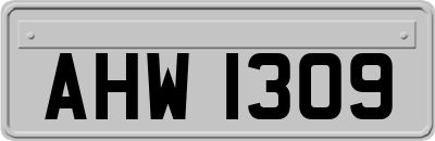 AHW1309