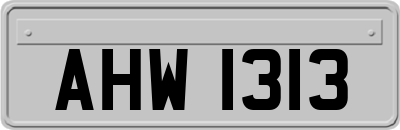 AHW1313