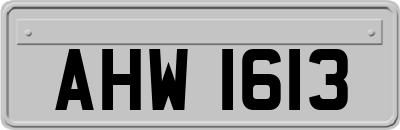 AHW1613