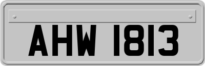 AHW1813