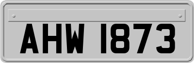 AHW1873