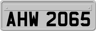 AHW2065