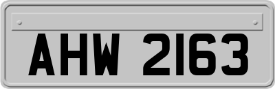 AHW2163