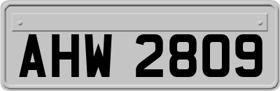 AHW2809