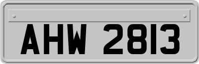 AHW2813