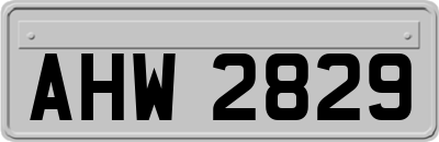 AHW2829