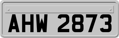 AHW2873