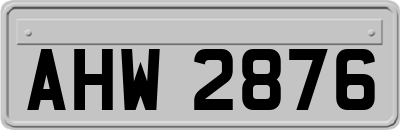 AHW2876