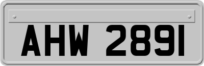 AHW2891