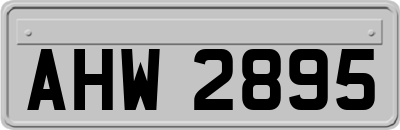 AHW2895