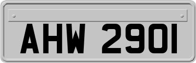 AHW2901