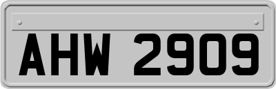 AHW2909