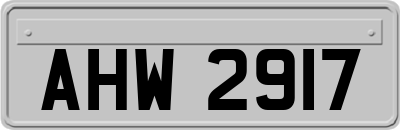 AHW2917