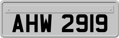 AHW2919